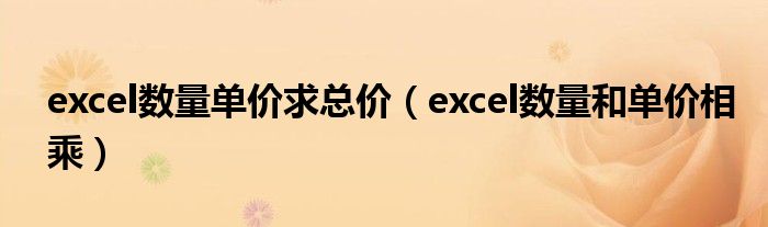 excel数量单价求总价（excel数量和单价相乘）