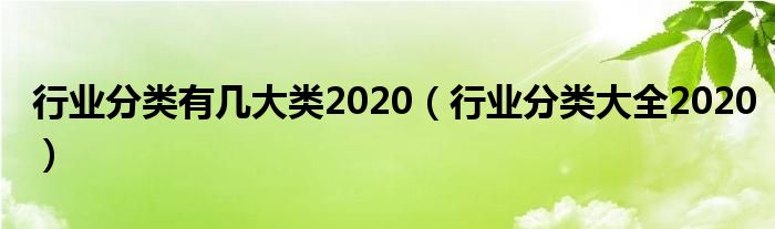 行业分类有几大类2020（行业分类大全2020）