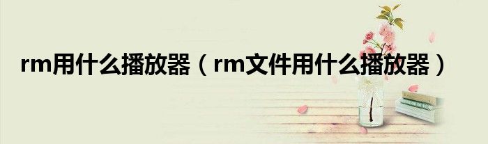 rm用什么播放器（rm文件用什么播放器）