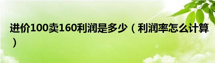 进价100卖160利润是多少（利润率怎么计算）