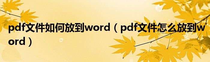 pdf文件如何放到word（pdf文件怎么放到word）