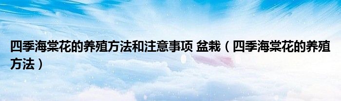 四季海棠花的养殖方法和注意事项 盆栽（四季海棠花的养殖方法）