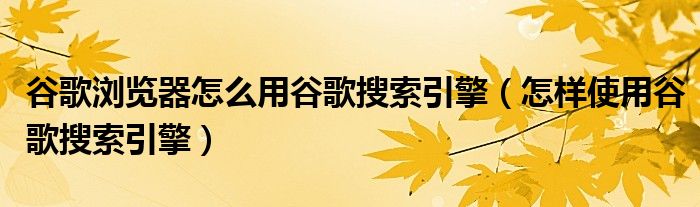 谷歌浏览器怎么用谷歌搜索引擎（怎样使用谷歌搜索引擎）