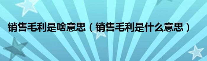 销售毛利是啥意思（销售毛利是什么意思）