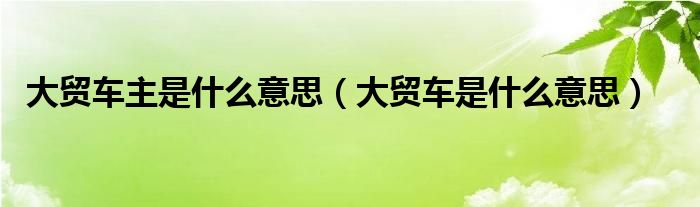 大贸车主是什么意思（大贸车是什么意思）