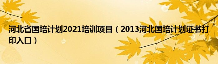 河北省国培计划2021培训项目（2013河北国培计划证书打印入口）