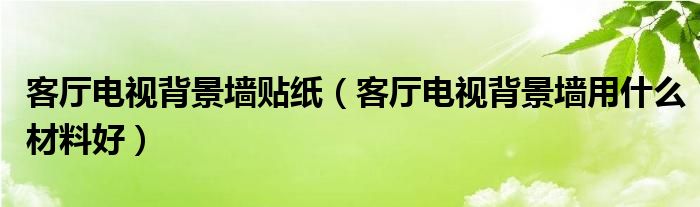 客厅电视背景墙贴纸（客厅电视背景墙用什么材料好）