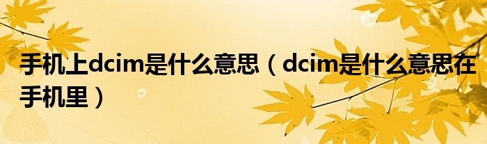 手机上dcim是什么意思（dcim是什么意思在手机里）