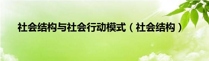 社会结构与社会行动模式（社会结构）