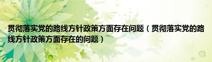 贯彻落实党的路线方针政策方面存在问题（贯彻落实党的路线方针政策方面存在的问题）