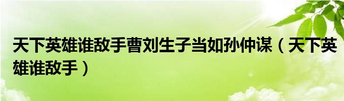 天下英雄谁敌手曹刘生子当如孙仲谋（天下英雄谁敌手）