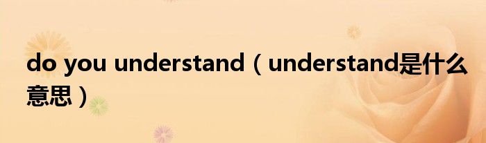 do you understand（understand是什么意思）