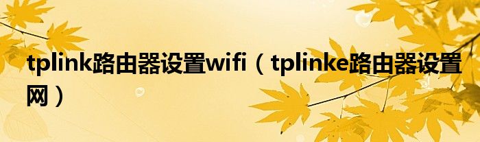 tplink路由器设置wifi（tplinke路由器设置网）