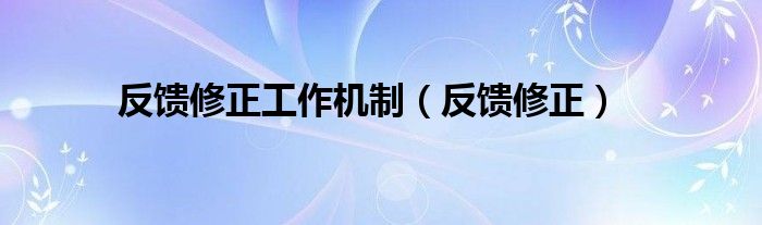 反馈修正工作机制（反馈修正）