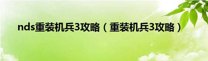 nds重装机兵3攻略（重装机兵3攻略）