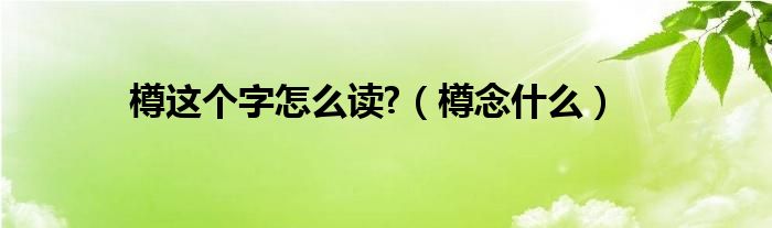 樽这个字怎么读?（樽念什么）