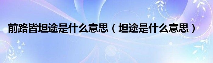 前路皆坦途是什么意思（坦途是什么意思）