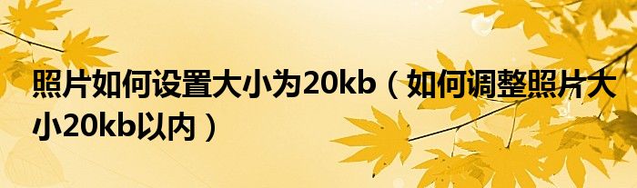 照片如何设置大小为20kb（如何调整照片大小20kb以内）