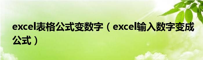 excel表格公式变数字（excel输入数字变成公式）