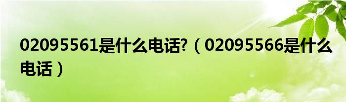 02095561是什么电话?（02095566是什么电话）