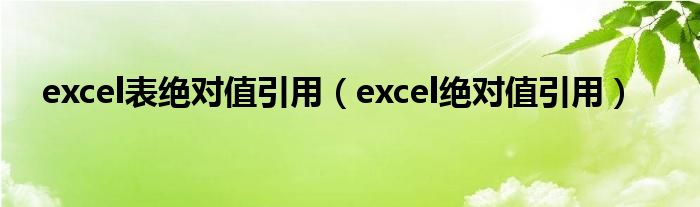 excel表绝对值引用（excel绝对值引用）