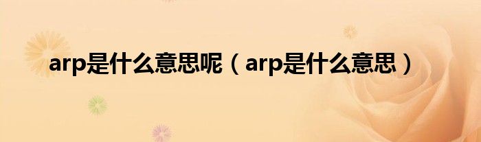 arp是什么意思呢（arp是什么意思）