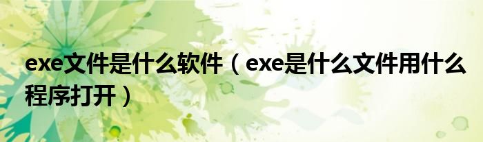 exe文件是什么软件（exe是什么文件用什么程序打开）