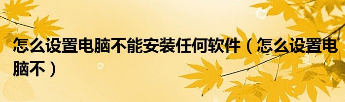 怎么设置电脑不能安装任何软件（怎么设置电脑不）