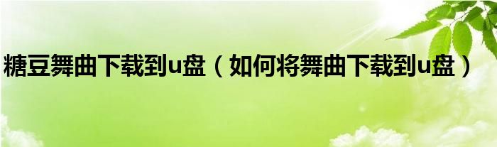 糖豆舞曲下载到u盘（如何将舞曲下载到u盘）