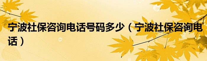 宁波社保咨询电话号码多少（宁波社保咨询电话）