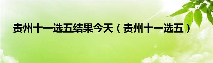 贵州十一选五结果今天（贵州十一选五）