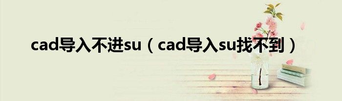 cad导入不进su（cad导入su找不到）