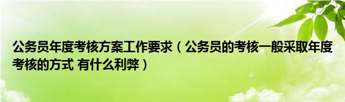 公务员年度考核方案工作要求（公务员的考核一般采取年度考核的方式 有什么利弊）