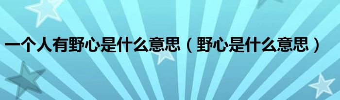 一个人有野心是什么意思（野心是什么意思）