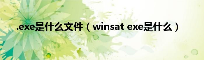 .exe是什么文件（winsat exe是什么）