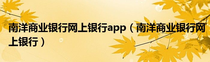 南洋商业银行网上银行app（南洋商业银行网上银行）