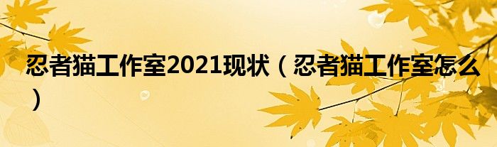 忍者猫工作室2021现状（忍者猫工作室怎么）