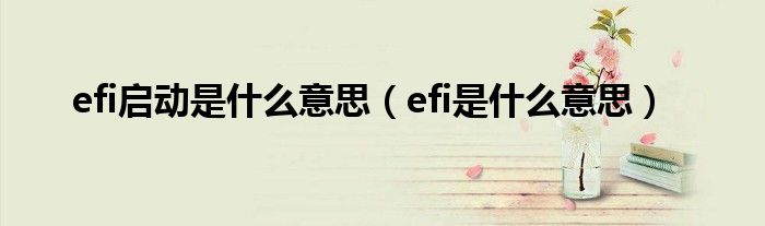 efi启动是什么意思（efi是什么意思）