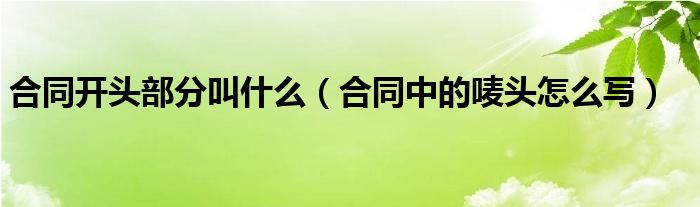 合同开头部分叫什么（合同中的唛头怎么写）