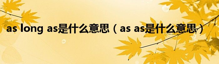 as long as是什么意思（as as是什么意思）