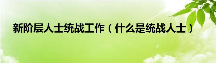 新阶层人士统战工作（什么是统战人士）