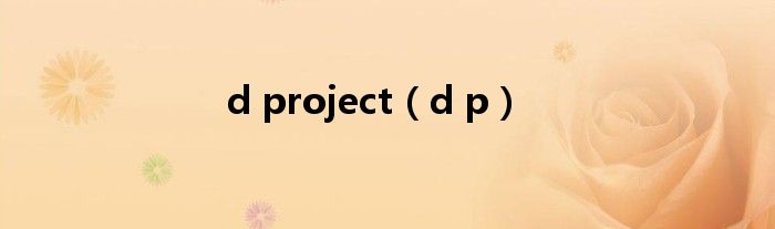 d project（d p）