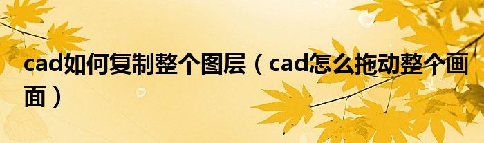 cad如何复制整个图层（cad怎么拖动整个画面）