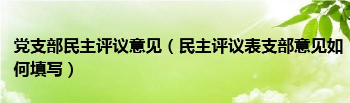 党支部民主评议意见（民主评议表支部意见如何填写）