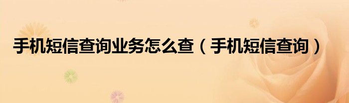 手机短信查询业务怎么查（手机短信查询）