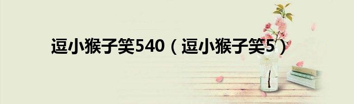 逗小猴子笑540（逗小猴子笑5）