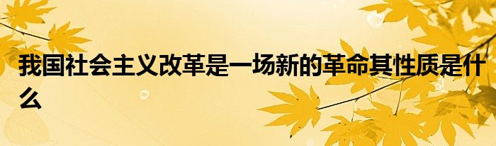 我国社会主义改革是一场新的革命其性质是什么