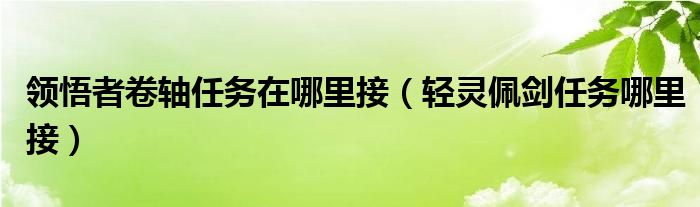 领悟者卷轴任务在哪里接（轻灵佩剑任务哪里接）