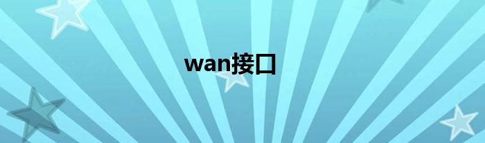 wan接口