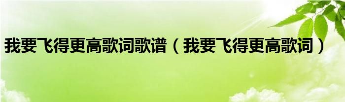 我要飞得更高歌词歌谱（我要飞得更高歌词）